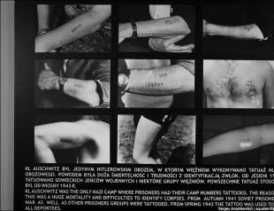 Auschwitz.  Dødsleir.  (36 bilder).  Frigjøring av Auschwitz.  Auschwitz konsentrasjonsleir (Auschwitz) Auschwitz konsentrasjonsleir